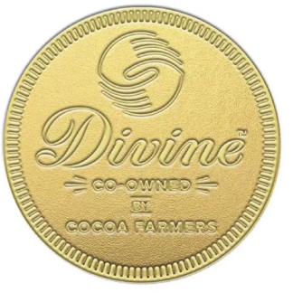 Divine Giant Milk Chocolate Coin (58g)